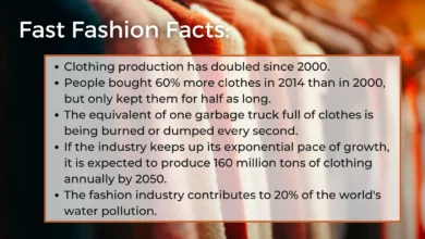 how to avoid fast fashion